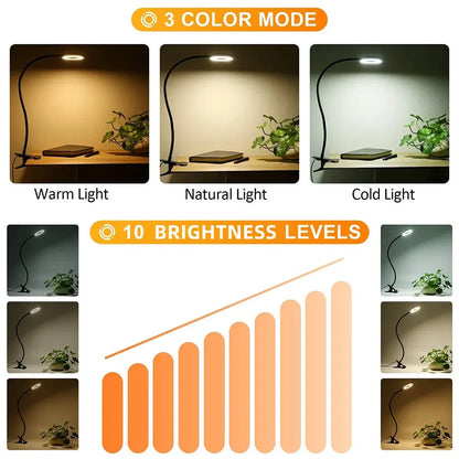 Allist Halo Flex-Mount Task Light | 360° Gooseneck Clip Lamp with Adaptive Dimming