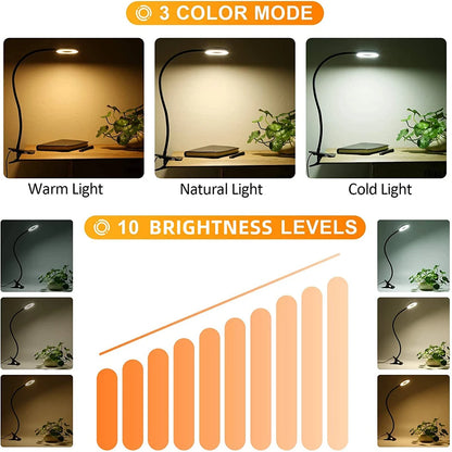 Allist Halo Flex-Mount Task Light | 360° Gooseneck Clip Lamp with Adaptive Dimming