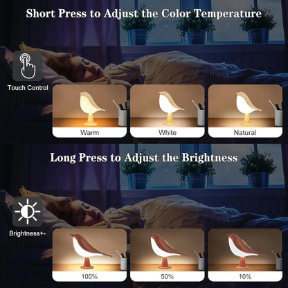 Allist Songbird Ambient LED Lamp | Cordless Touch-Dimmer & Integrated Aroma Diffuser