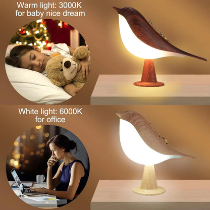 Allist Songbird Ambient LED Lamp | Cordless Touch-Dimmer & Integrated Aroma Diffuser